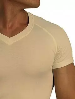 Теплая мужская футболка «Doreanse Thermo Comfort» 2880c02 белая